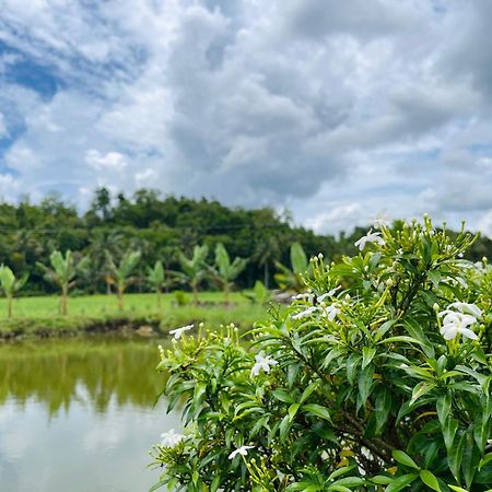 Jazz Ferme Inn Batuan Bohol Exterior photo