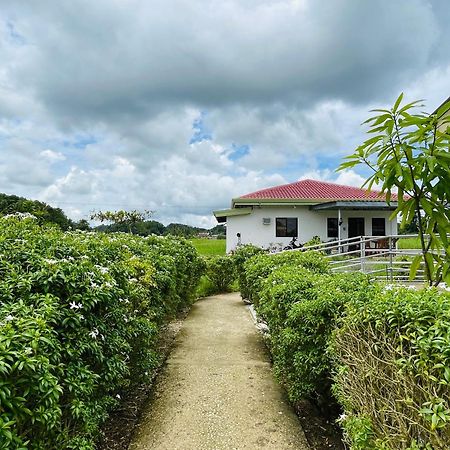 Jazz Ferme Inn Batuan Bohol Exterior photo