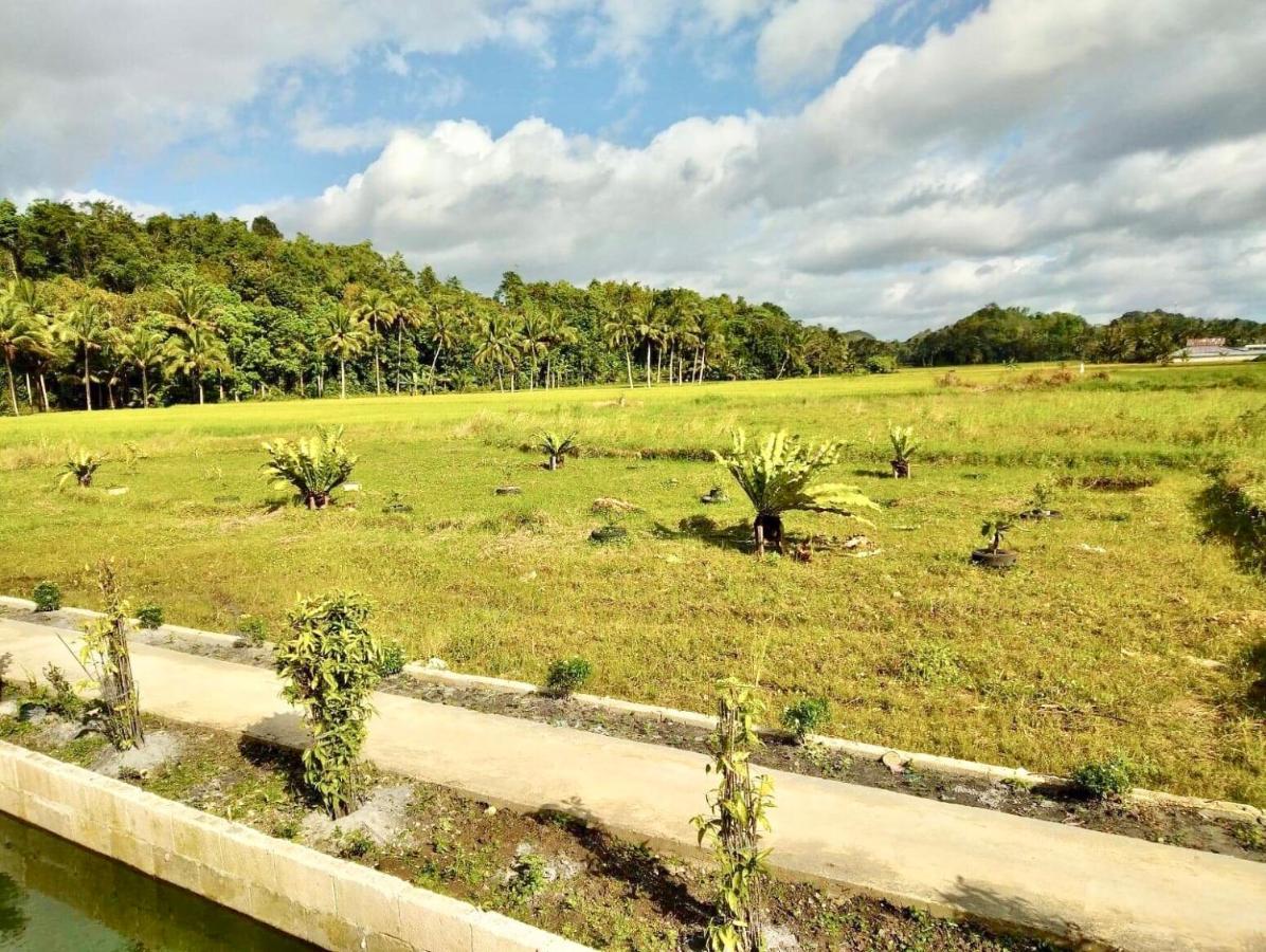 Jazz Ferme Inn Batuan Bohol Exterior photo