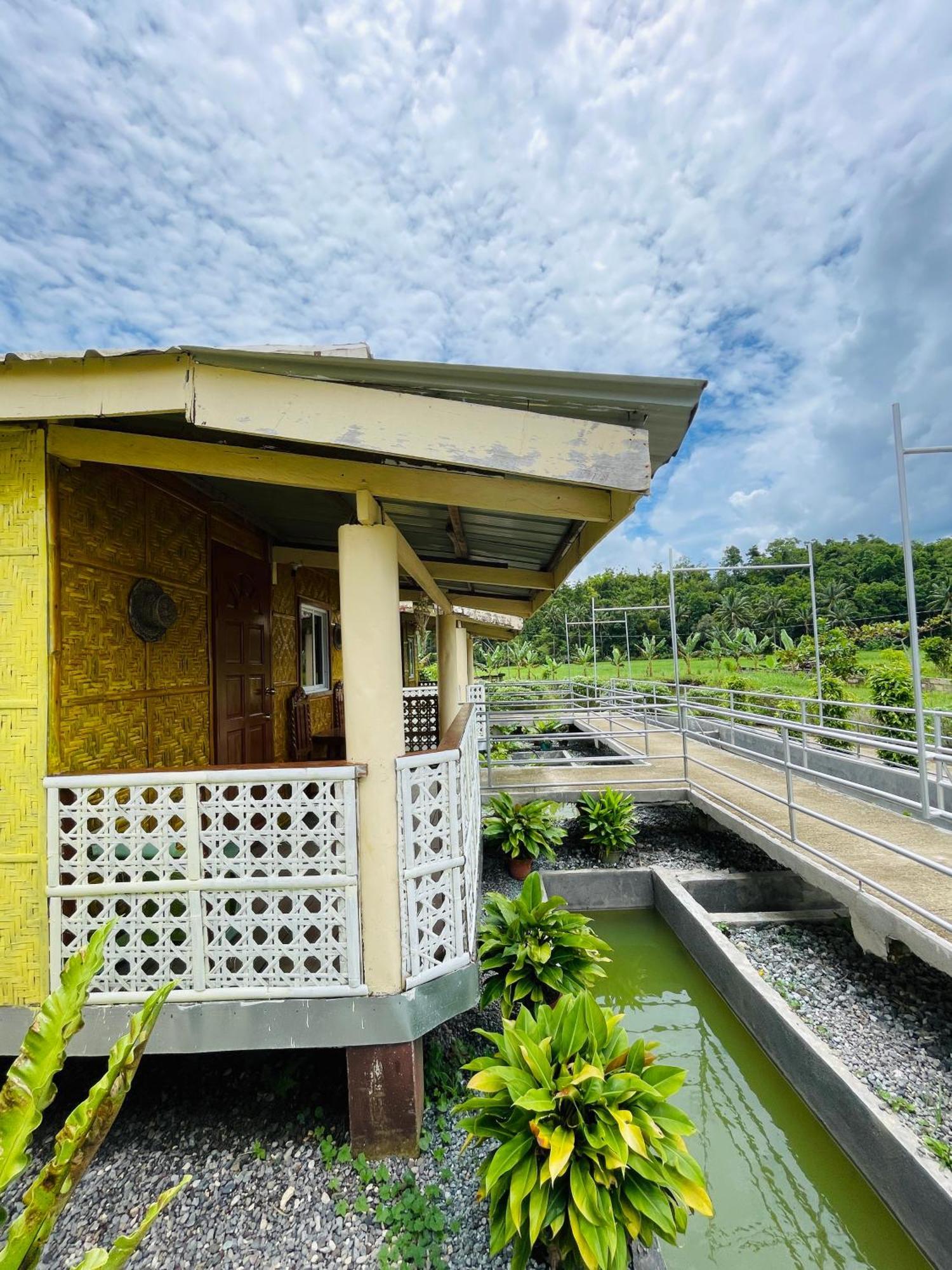 Jazz Ferme Inn Batuan Bohol Exterior photo