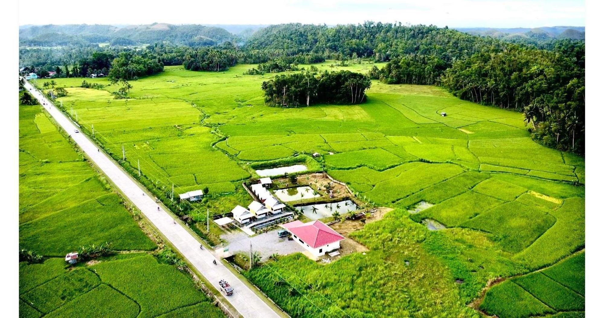 Jazz Ferme Inn Batuan Bohol Exterior photo