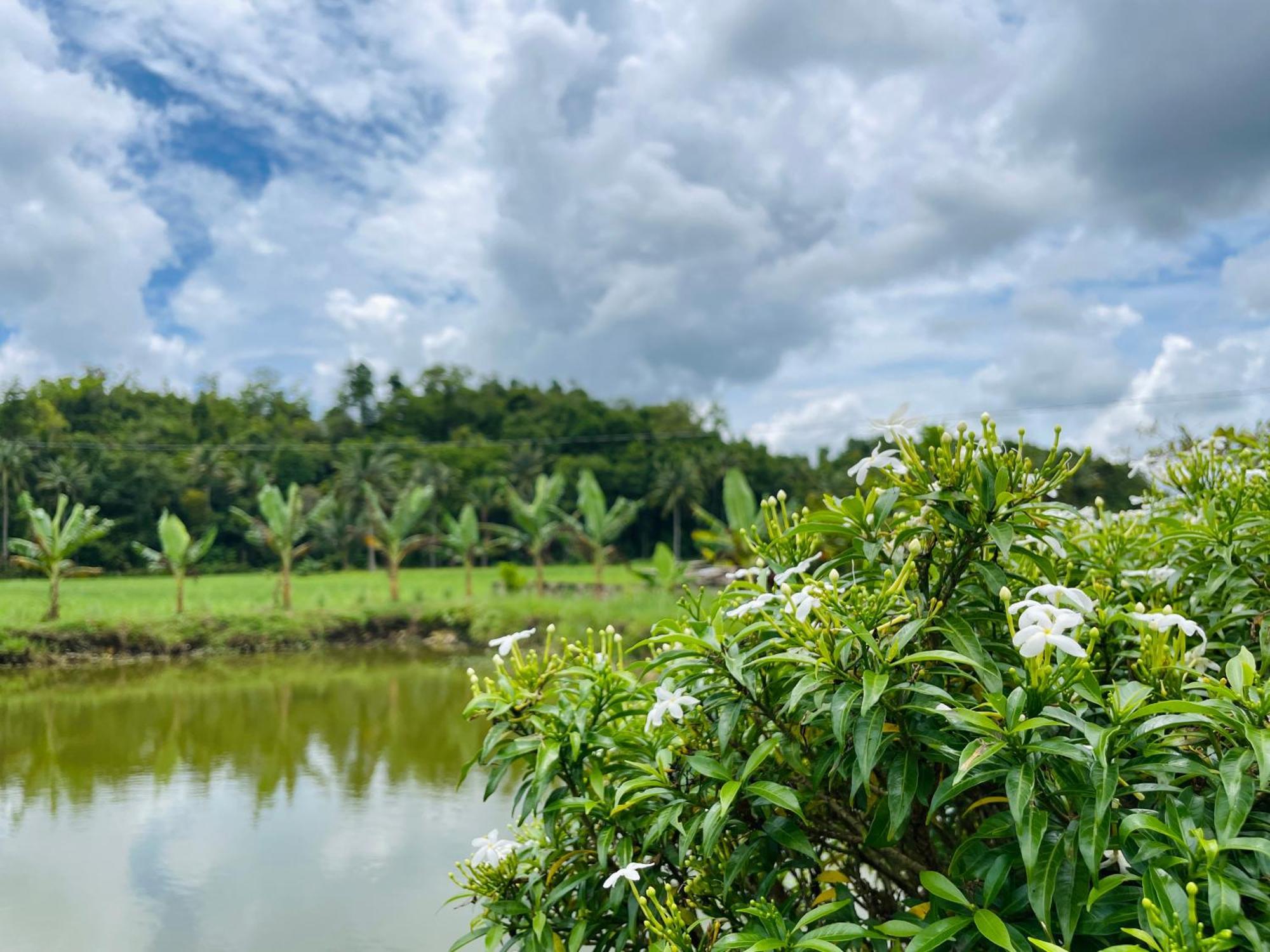 Jazz Ferme Inn Batuan Bohol Exterior photo