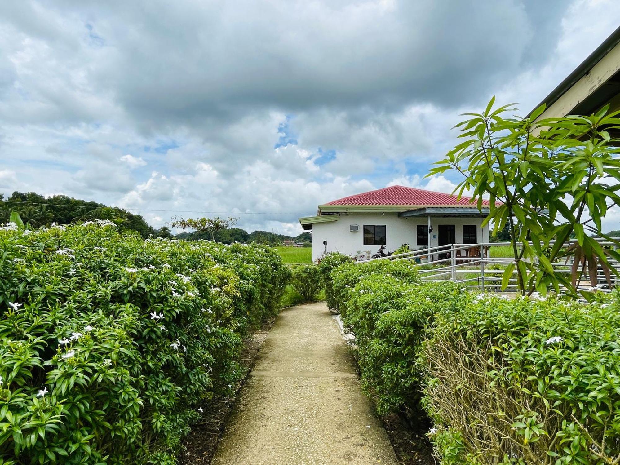 Jazz Ferme Inn Batuan Bohol Exterior photo