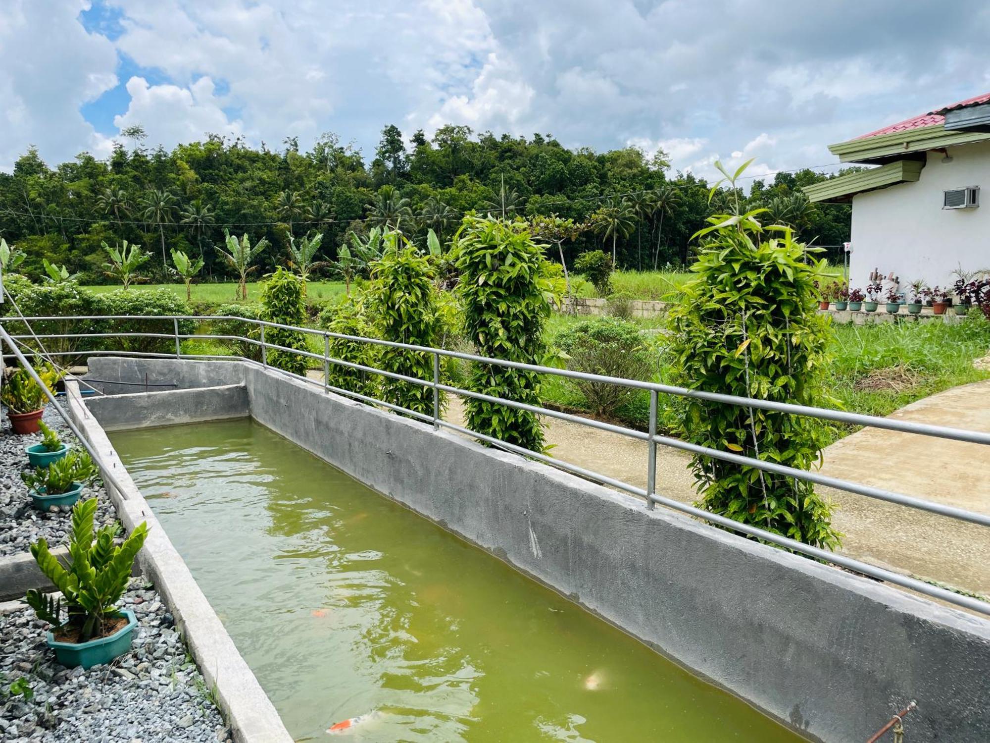 Jazz Ferme Inn Batuan Bohol Exterior photo