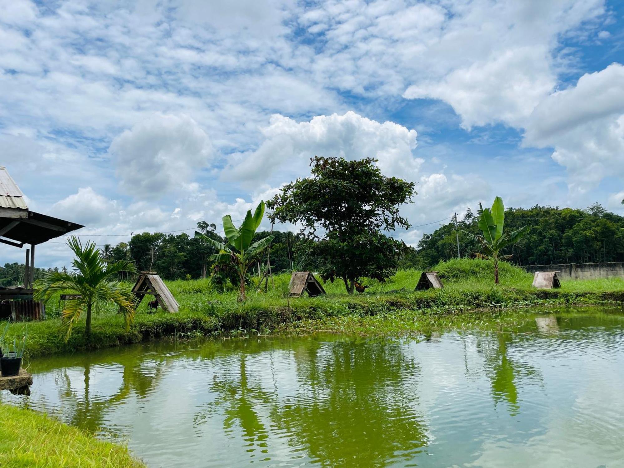 Jazz Ferme Inn Batuan Bohol Exterior photo